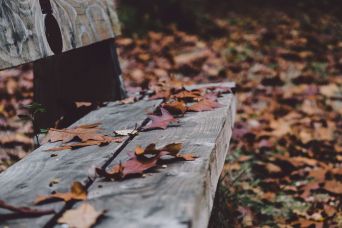 Dlaczego jesień sprzyja depresji i czym objawia się depresja sezonowa?